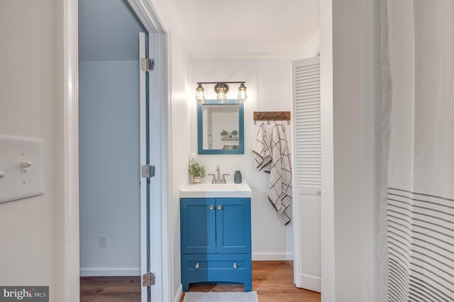 bathroom with hardwood / wood-style floors and vanity