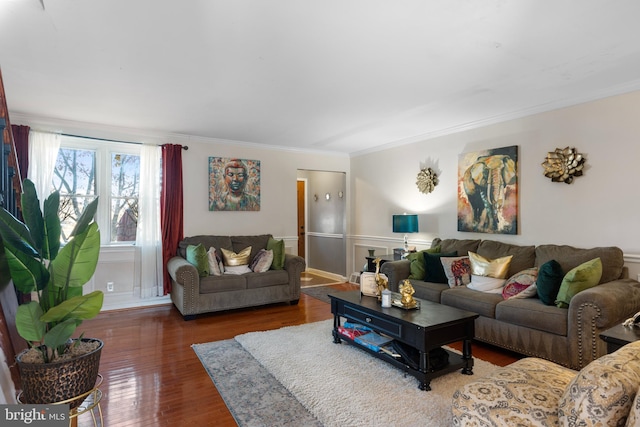 living room featuring crown molding and dark wood-type flooring