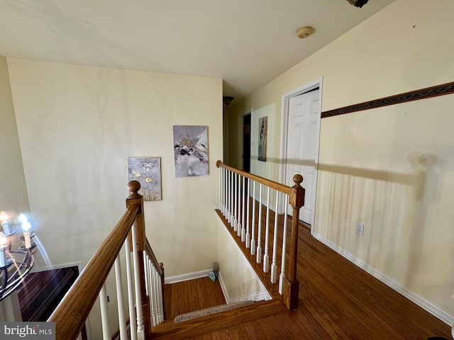 stairway featuring hardwood / wood-style floors