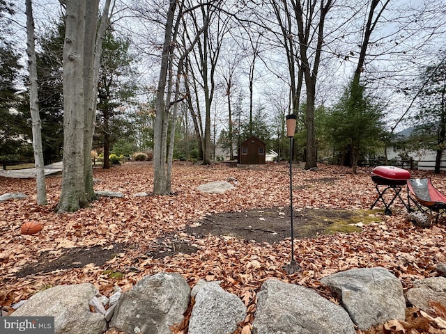 view of yard with a shed