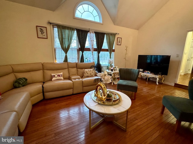 living room with high vaulted ceiling and wood-type flooring