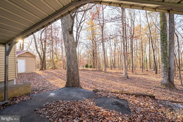 view of yard featuring a storage unit