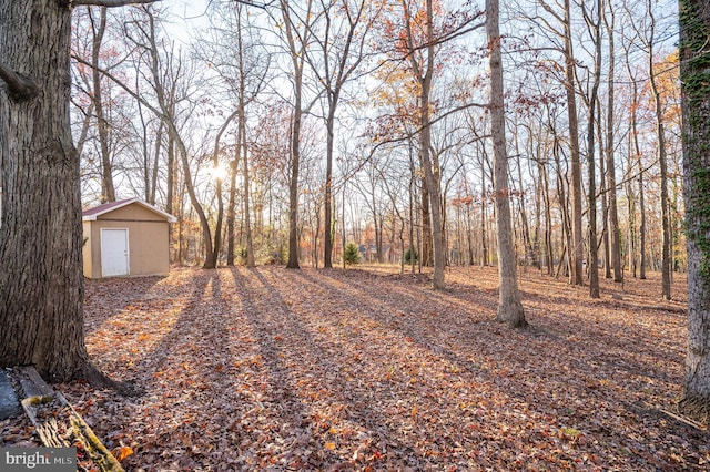 view of yard featuring a storage unit