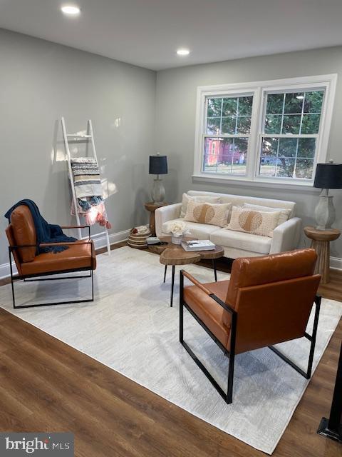 living room featuring wood-type flooring