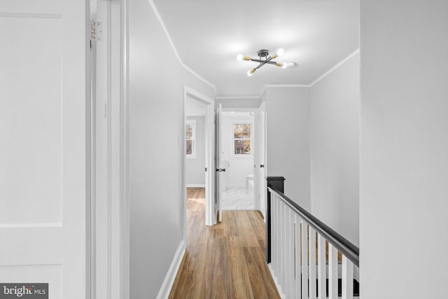 hall with wood-type flooring, crown molding, and a notable chandelier