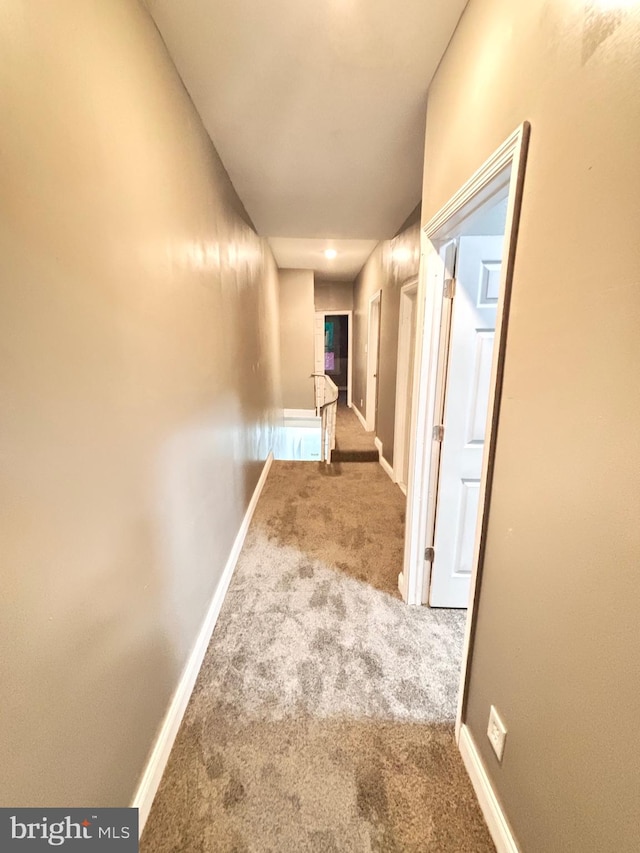 hallway with carpet flooring