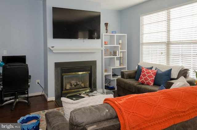 living room featuring dark hardwood / wood-style flooring