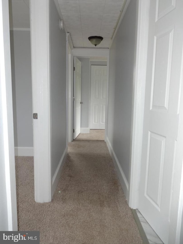 hall with light carpet and crown molding