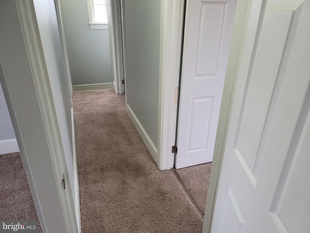 hall featuring carpet floors