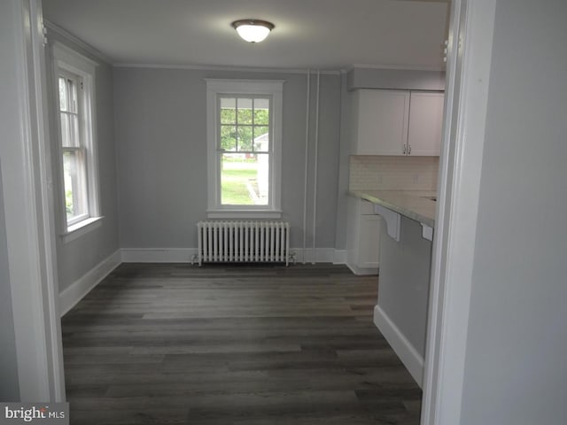 interior space with dark hardwood / wood-style flooring, ornamental molding, and radiator