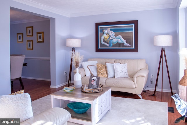 living room featuring hardwood / wood-style floors and ornamental molding