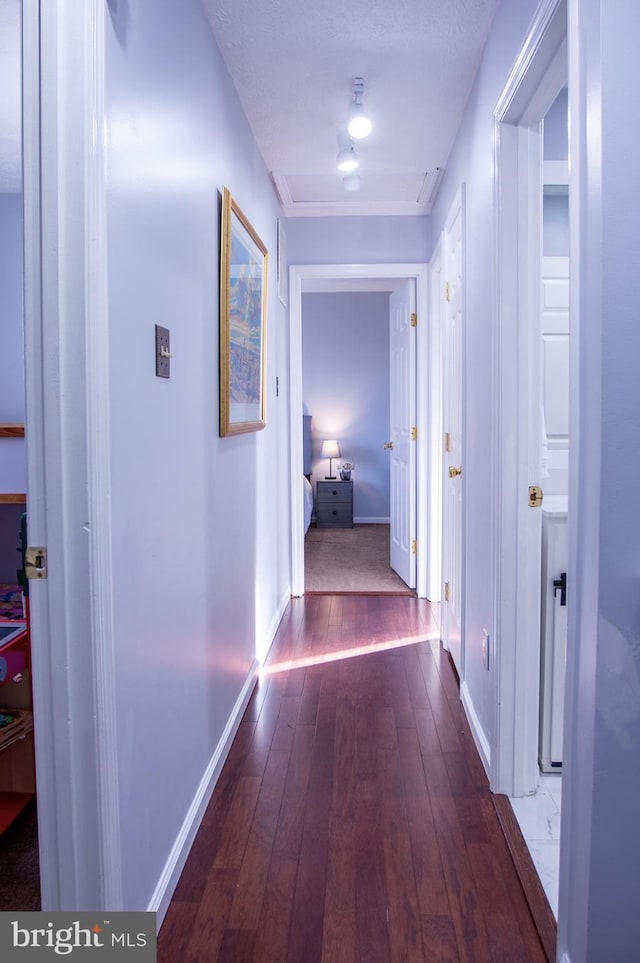 hallway featuring hardwood / wood-style flooring