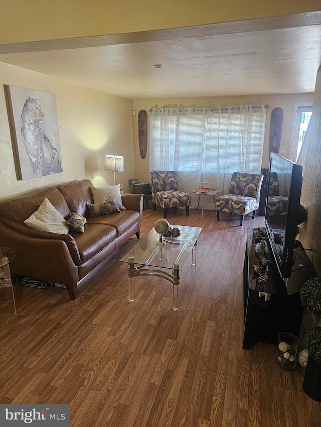 living room with hardwood / wood-style floors and a textured ceiling