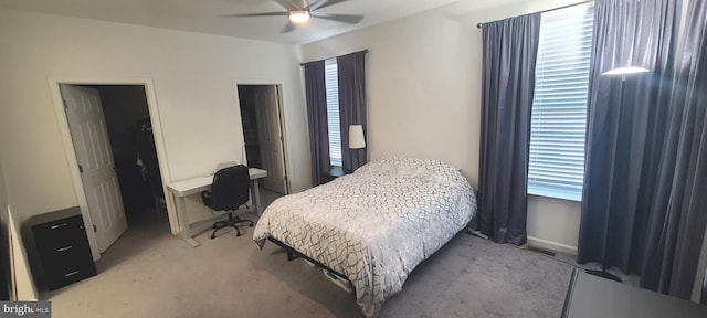 bedroom with carpet, ceiling fan, a closet, and multiple windows