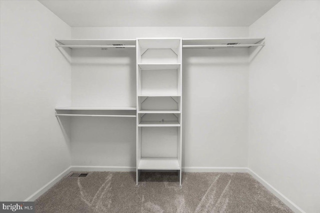 walk in closet with carpet floors