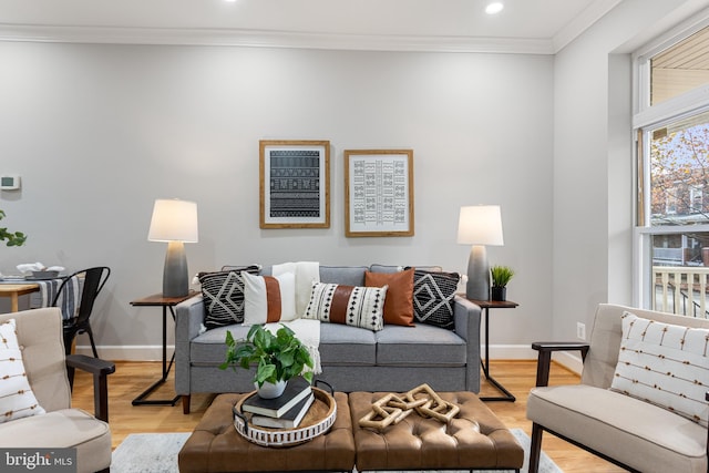 living room with light hardwood / wood-style flooring and ornamental molding