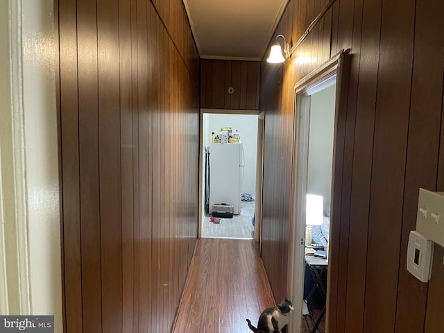 corridor with wooden walls and hardwood / wood-style floors