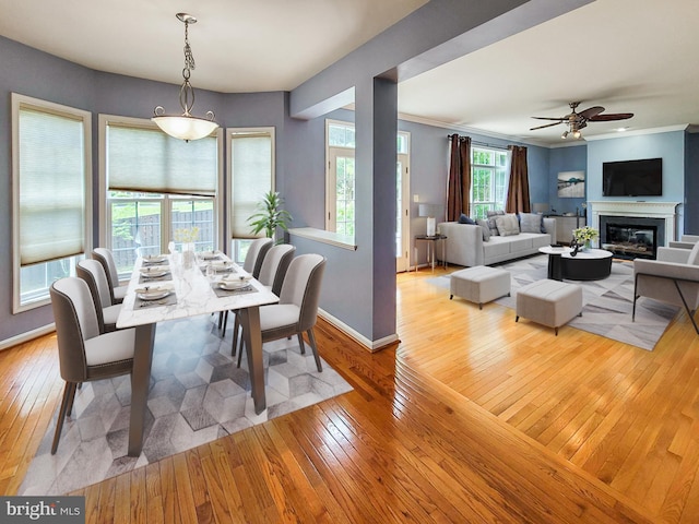 dining area featuring ceiling fan, light hardwood / wood-style floors, and crown molding