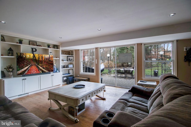 living room featuring a healthy amount of sunlight and light wood-type flooring