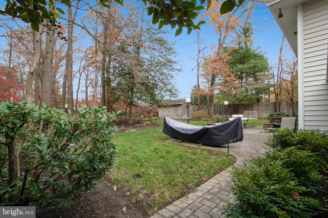 view of yard featuring a patio and a shed