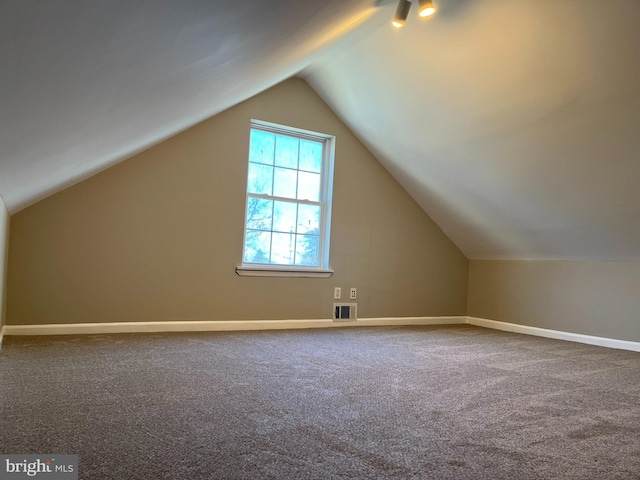 additional living space featuring carpet and lofted ceiling