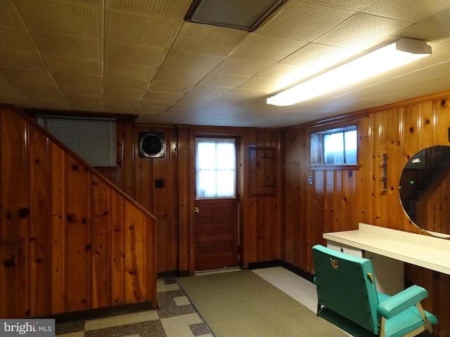 basement with wooden walls