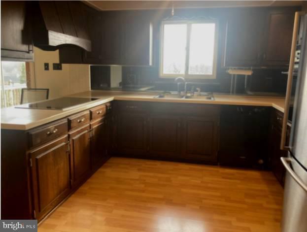 kitchen with black electric stovetop, light wood-type flooring, range hood, and sink