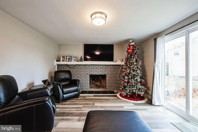 living room featuring a fireplace and light hardwood / wood-style flooring