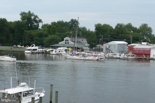 view of dock with a water view