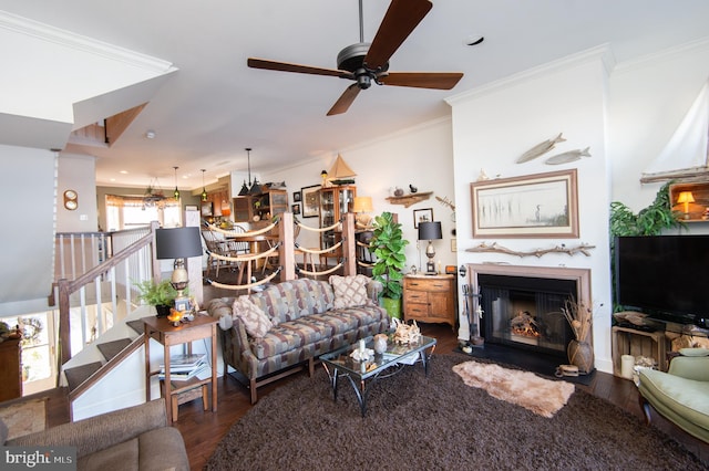 living room featuring crown molding, ceiling fan, and dark hardwood / wood-style floors