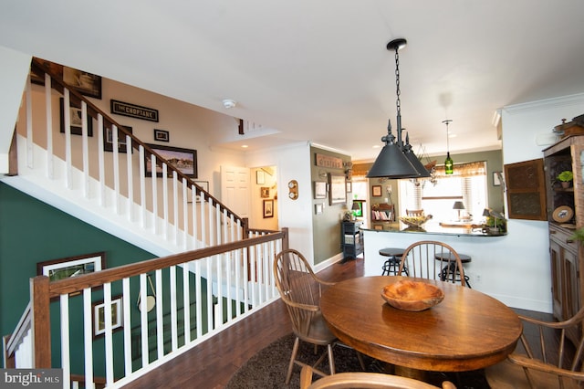 dining room with dark hardwood / wood-style flooring