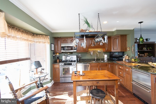 kitchen with sink, dark hardwood / wood-style floors, ornamental molding, appliances with stainless steel finishes, and decorative light fixtures