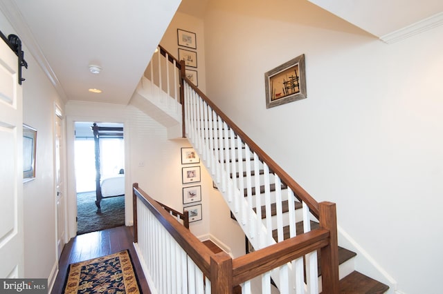 stairs with a barn door, hardwood / wood-style flooring, and crown molding