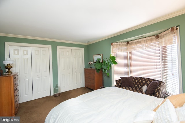 carpeted bedroom featuring multiple closets and crown molding