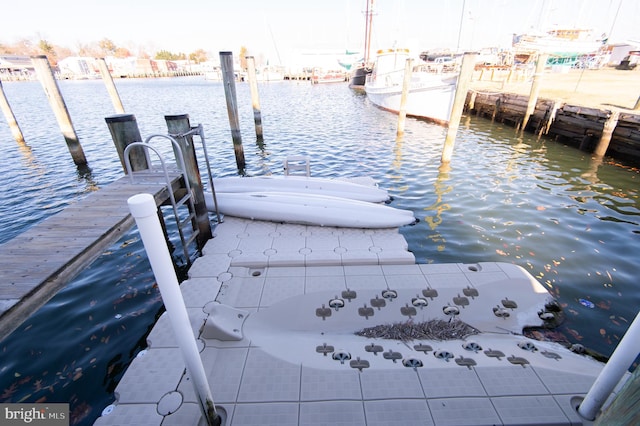 dock area with a water view