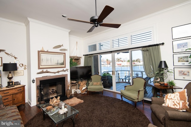 living room featuring ceiling fan, ornamental molding, and dark wood-type flooring