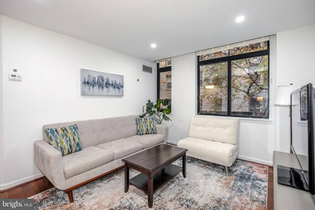 living room featuring hardwood / wood-style floors