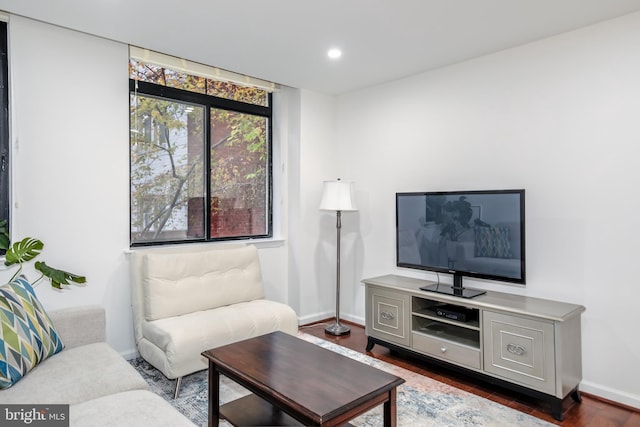 living room featuring dark wood-type flooring