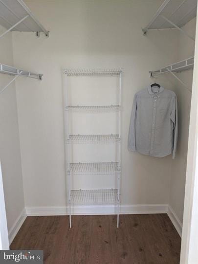 spacious closet with dark hardwood / wood-style floors