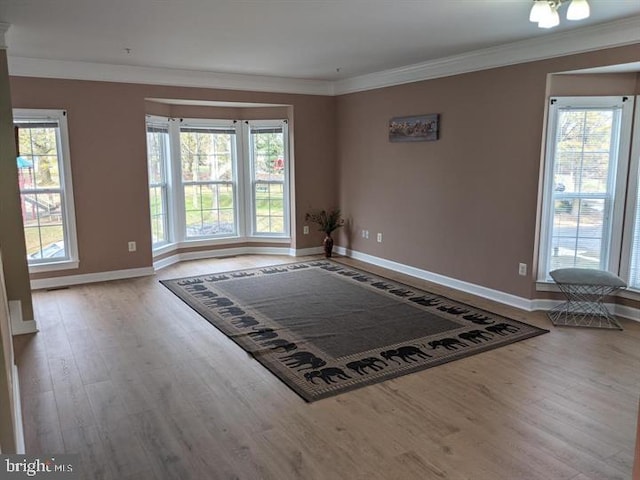 spare room featuring ornamental molding and light hardwood / wood-style flooring