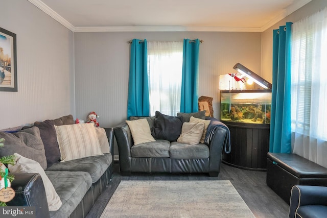 living room with dark hardwood / wood-style floors and ornamental molding