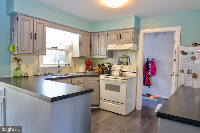 kitchen featuring white appliances, sink, tasteful backsplash, dark hardwood / wood-style flooring, and kitchen peninsula