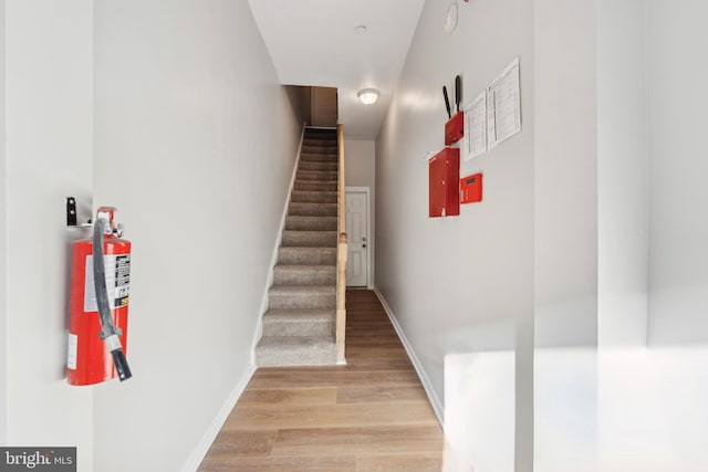 staircase with hardwood / wood-style flooring