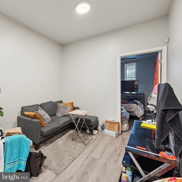 living room featuring hardwood / wood-style flooring