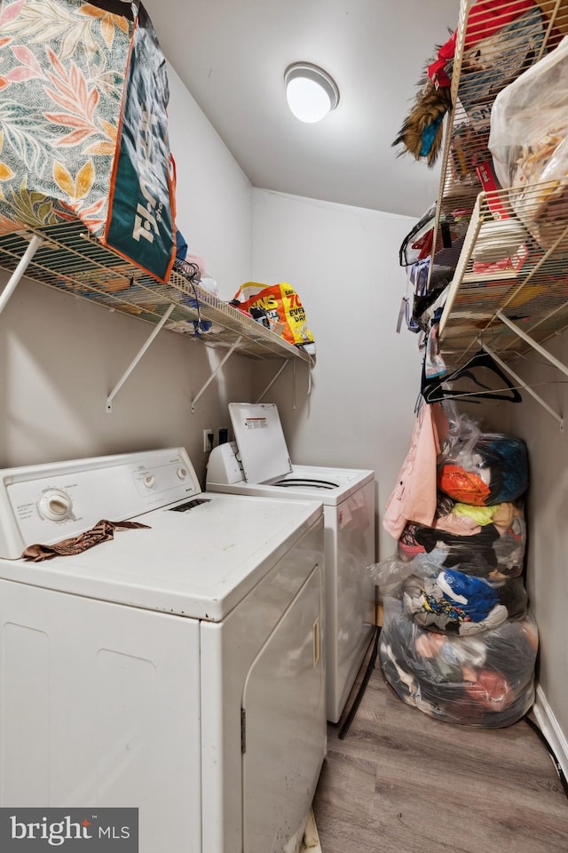 washroom featuring wood-type flooring and independent washer and dryer