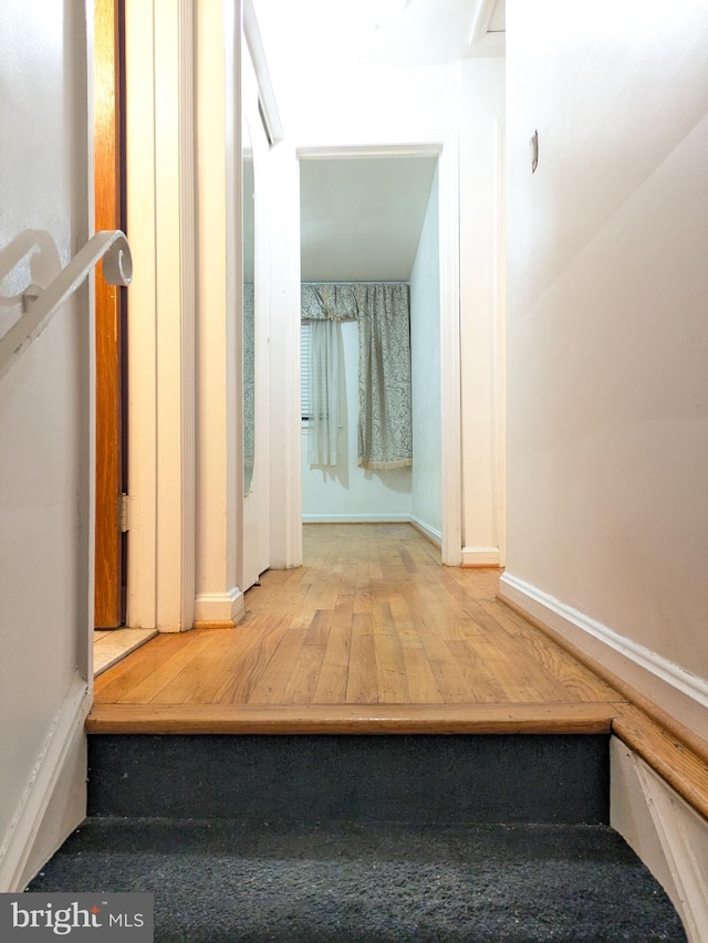 stairway featuring wood-type flooring