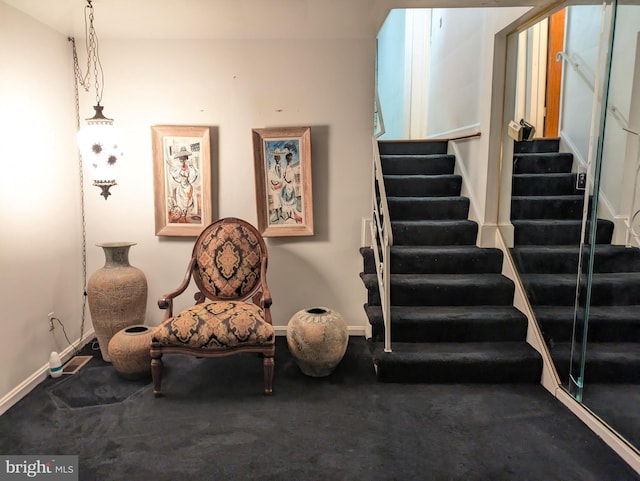 living area featuring carpet floors