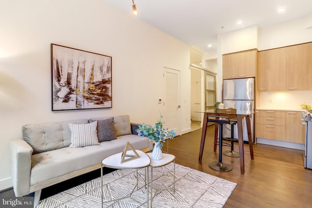 living room featuring dark wood-type flooring