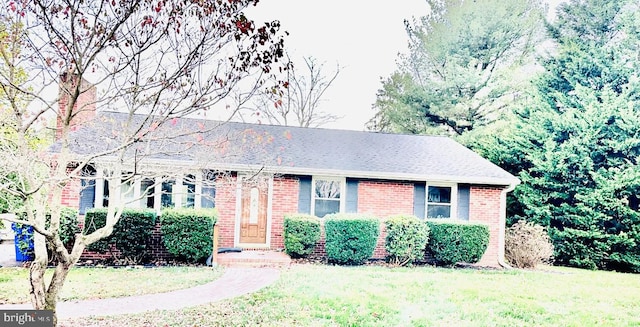 view of front facade with a front lawn