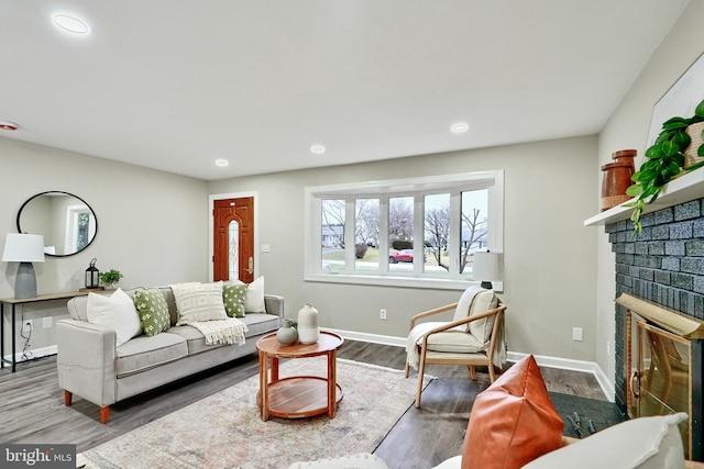 living room featuring a fireplace and wood-type flooring